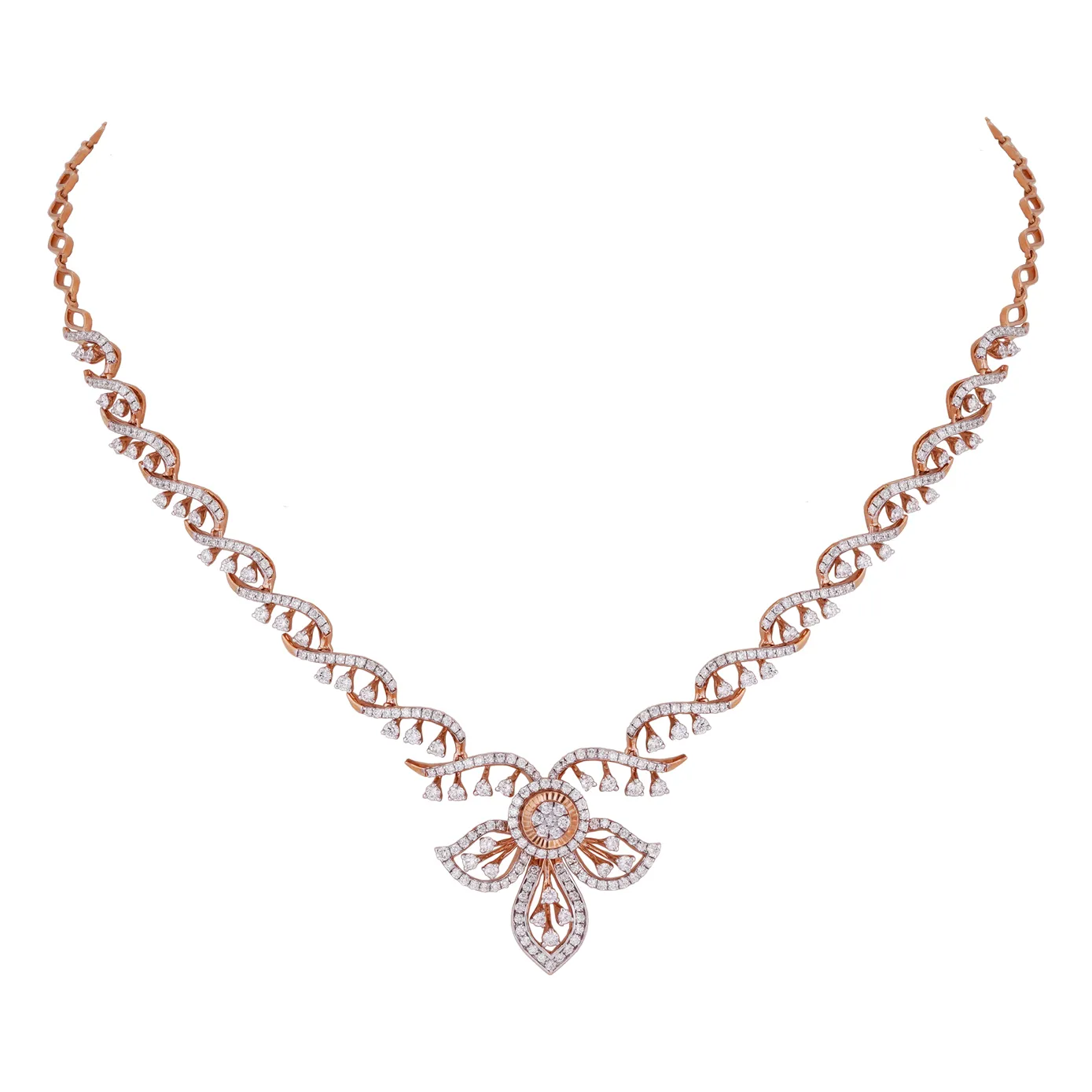 Curio - A festoon beauty!